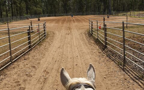 Sand Arena
